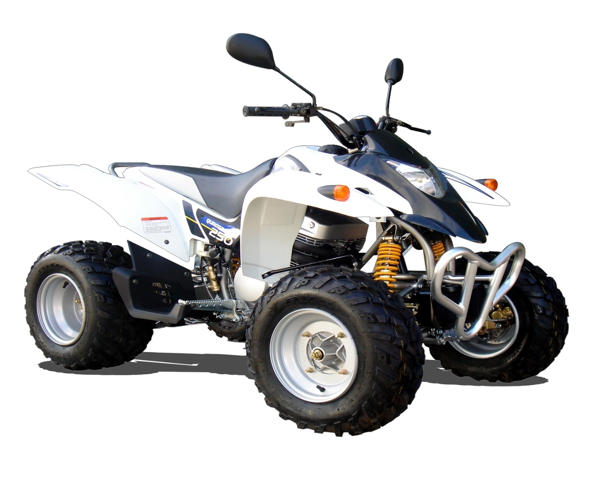quadzilla 250cc