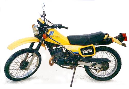 Suzuki Ts125R