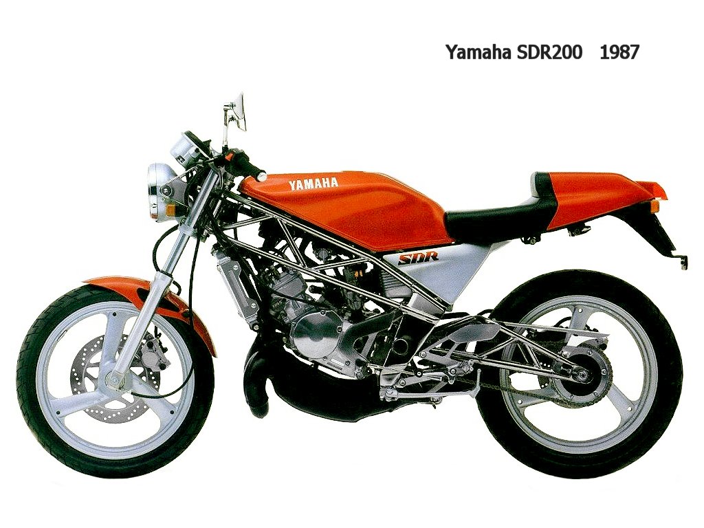 sdr 250, l'autre yam SDR_200_%28import%29__1