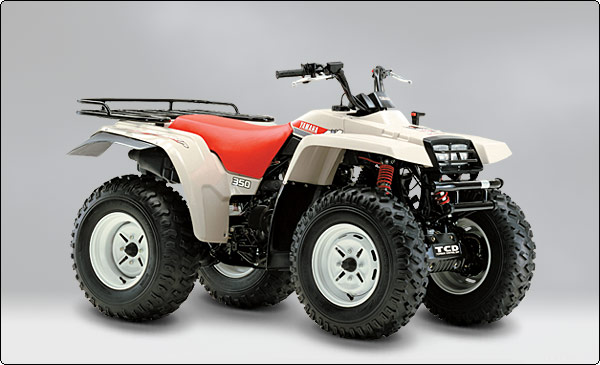 The Yamaha Yfm 350 Fwj Fwk Big Bear At Motorbikespecs Net The